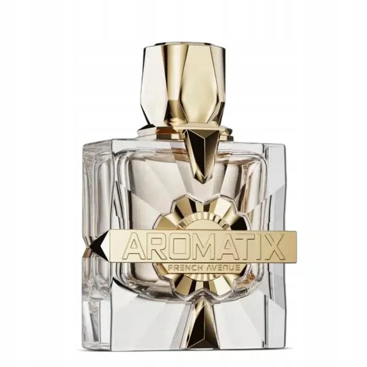 Fragrance World French Avenue X Xandal Aromatix X 100ml 2